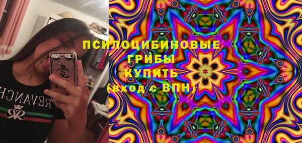 спайс Вяземский