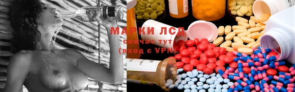 спайс Вяземский
