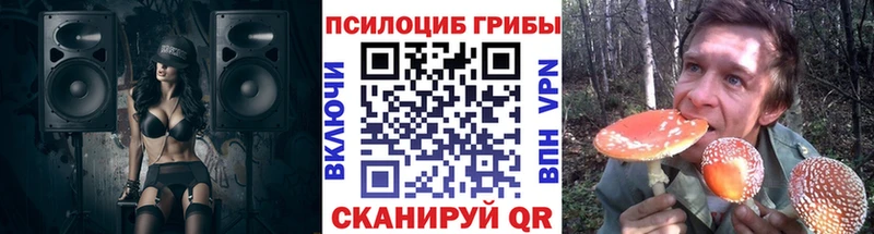 Галлюциногенные грибы Psilocybine cubensis Истра