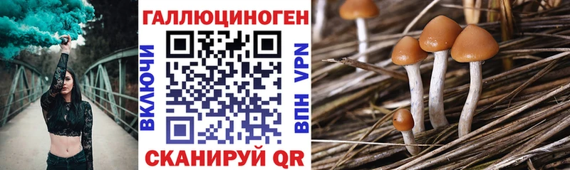 Галлюциногенные грибы прущие грибы  Истра 